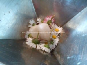 orgonite maken Orgonite Machen - Een kwarts en witte bloemen